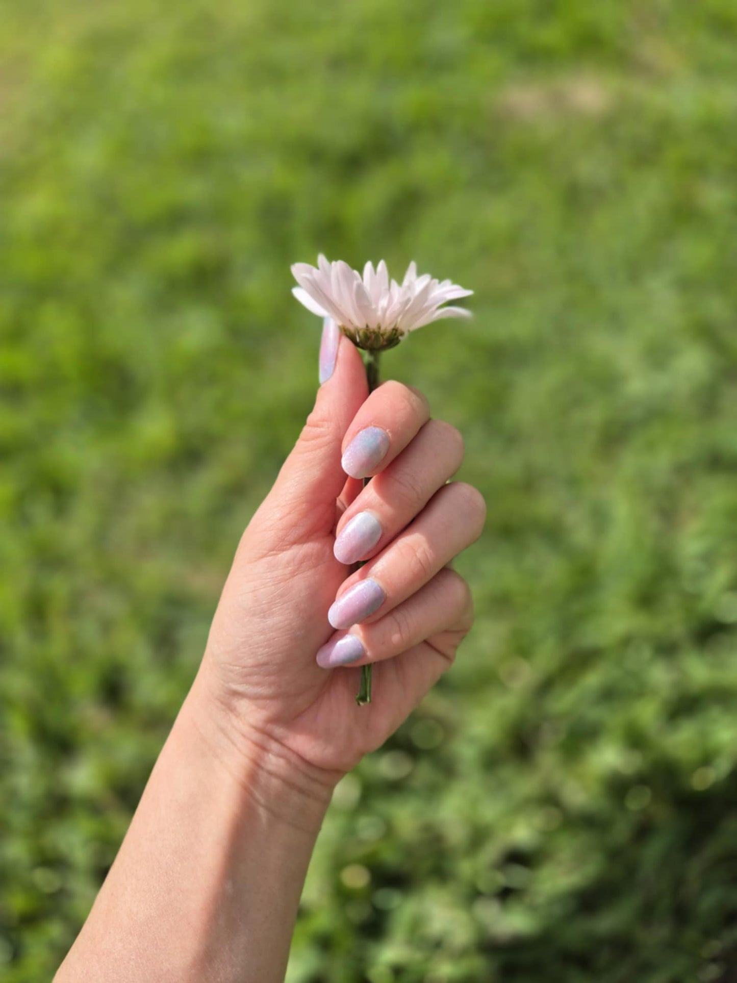 Spring Fling