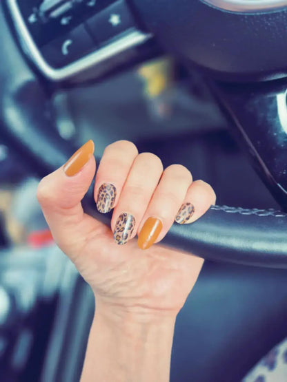 A leopard never changes its spots